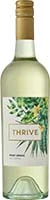 Thrive Pinot Grigio White Wine