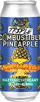 Pontoon Combustible Pineapple 16oz 4pk Cn Is Out Of Stock