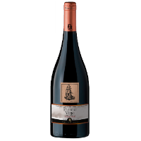 Vina Requingua Puerto Viejo Reserve Estate Bottled Single Vineyard Pinot Noir