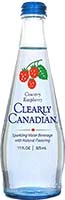 Clearly Canadian Sparkling Water Raspberry 11oz