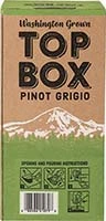 Top Box Pinot Grigio 3l