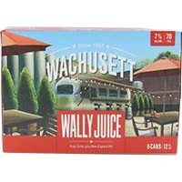 Wachusettwally Ipa