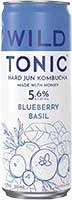 Wild Tonic Kombucha Blueberry 12oz Can Is Out Of Stock