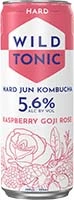 Wild Tonic Kombucha Raspberry 12oz Can Is Out Of Stock