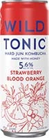 Wild Tonic Kombucha Strawberry 12oz Can Is Out Of Stock