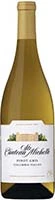 Chateau Ste Michelle Pinot Gris