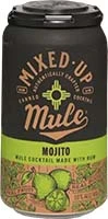 Mixed Up Classic Mule 4pk