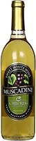 Childress Muscadine Sweet Whit