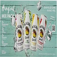 Malibu Splash Hangout Mix Variety Pack