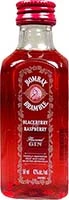 Bombay Flavor Gin .50ml Is Out Of Stock