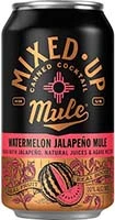 Little Toad Creek Mixed Up Watermelon Hibiscus 4pk