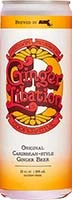 Ginger Libation Blueberry Light