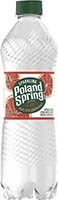 Poland Spring Sparkling Ruby Red Spring Water