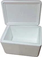 Styrofoam Cooler