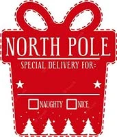 Gift Bag North Pole Delivery