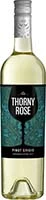 Thorny Rose 750ml