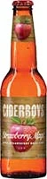 Ciderboys Straw Magic 6pk Nr