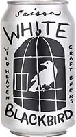 Wild Heaven White Blackbird 6pk